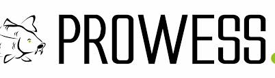 PROWESS